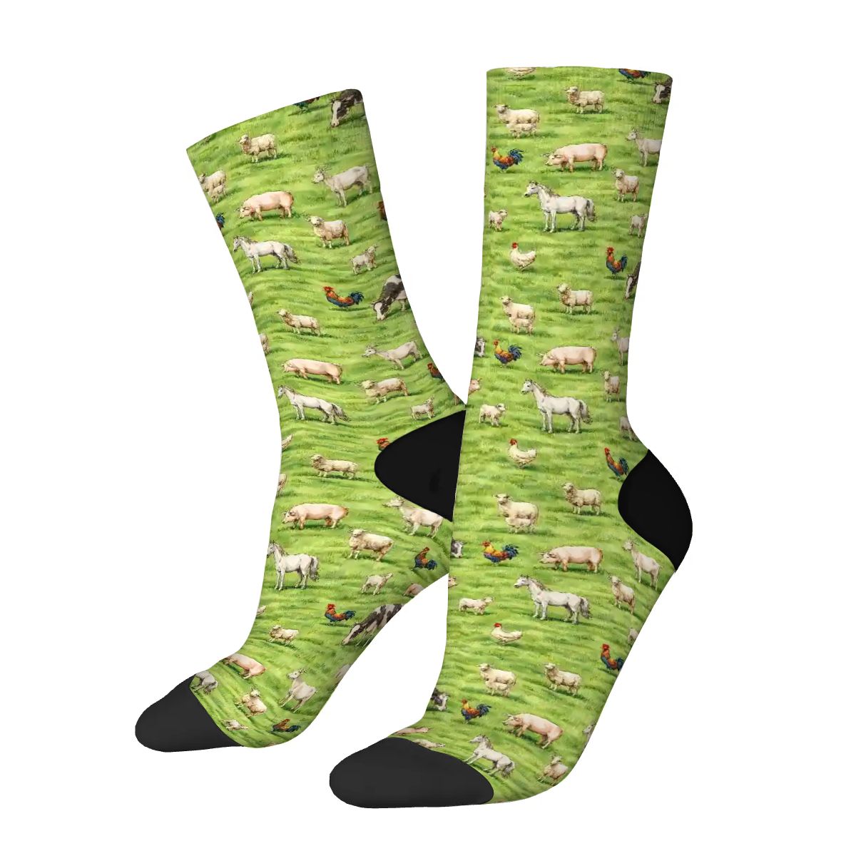The Farmyard