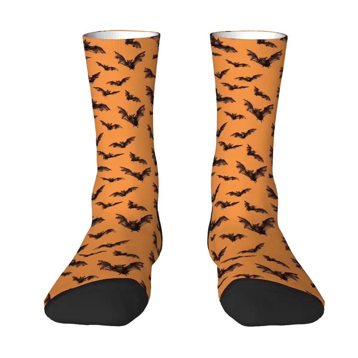 Bats